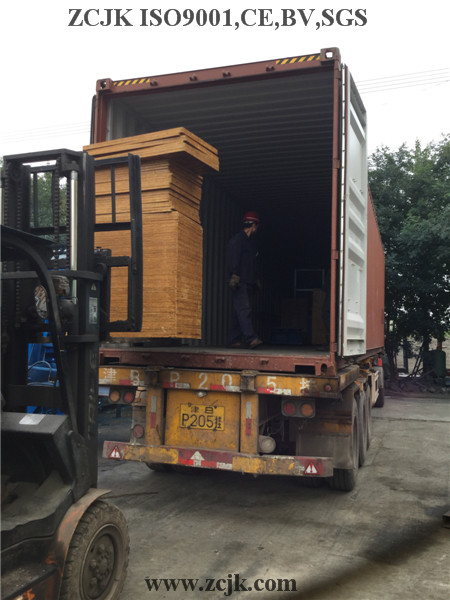 Nigeria ZCJK 4-20A Block Machine (11)